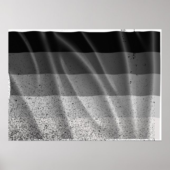 Pôster BANDEIRA RETA VOANDO -.png (Frente)