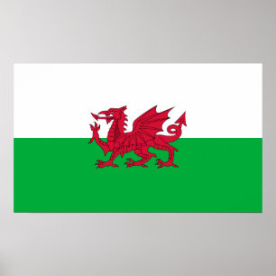 Poster Bandeira verde e vermelha de Wales com dragão