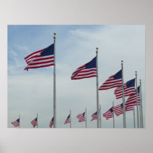 Pôster Bandeiras americanas no monumento de Washington