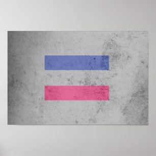 PÔSTER BANDERA DO ORGULHO ANDRÓGINO