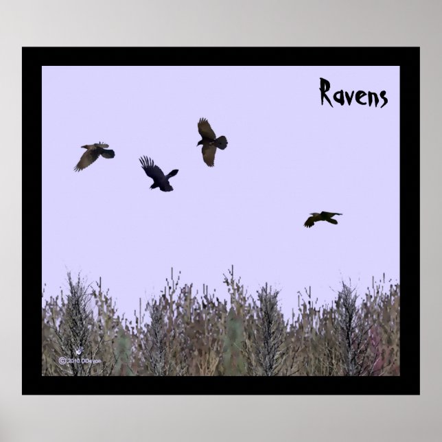 Poster Bando de Ravens (Frente)