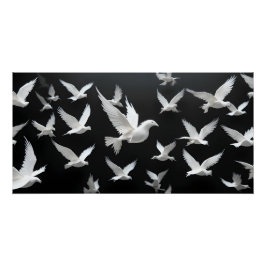 Pôster Bando Luminoso no Vazio Negro