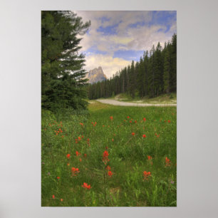 Pôster Banff National Park