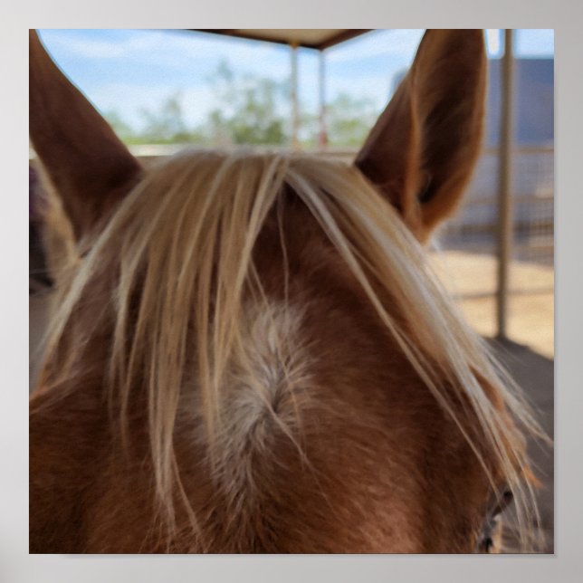 Poster Banguecoque (Frente)