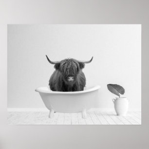 Poster Banheira de Vaca das Terras Altas Horizontal para 