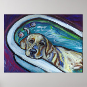 Pôster Banho amarelo de Labrador