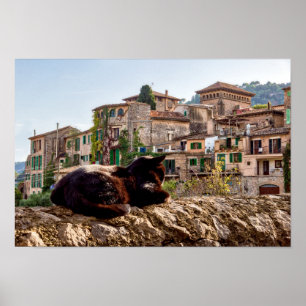 Poster Banho de sol de gato numa parede - Valldemossa, Ma