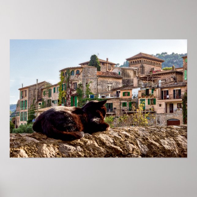 Poster Banho de sol de gato - Valldemossa, Maiorca (Frente)