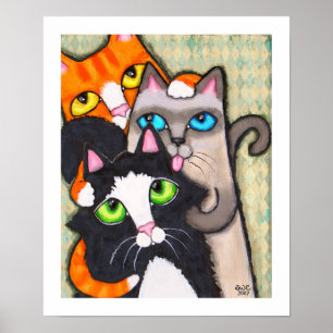 Poster Banho de Tuxedo Cat