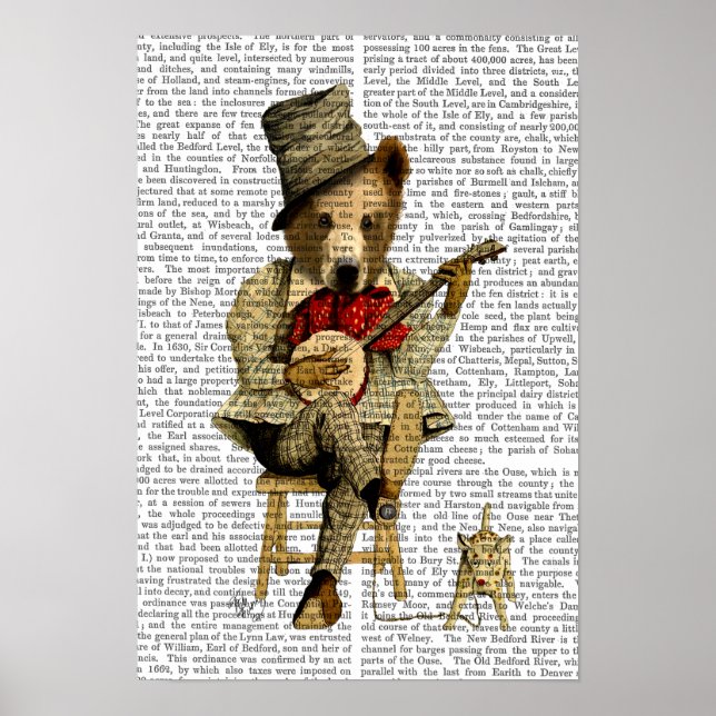 Poster Banjo Bear (Frente)