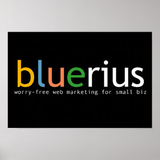 Pôster banner bluerius.com