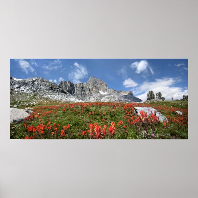 Poster Banner Pico de Flores Selvagens - Ansel Adams Wild (Frente)
