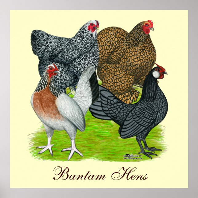 Poster Bantam Hen Quartet, Bantam Hens (Frente)