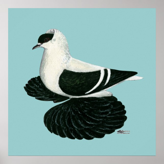 Pôster Bar Branco Negro Swallow Pigeon Saxon (Frente)