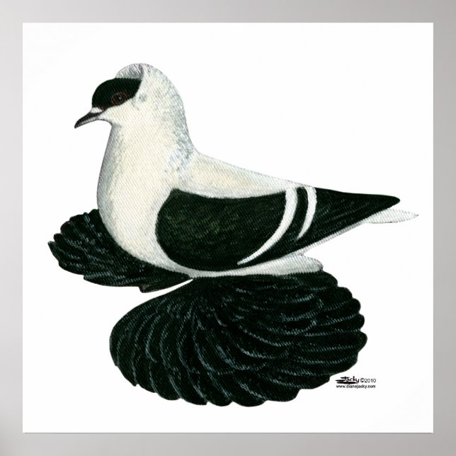 Pôster Bar Branco Negro Swallow Pigeon Saxon (Frente)