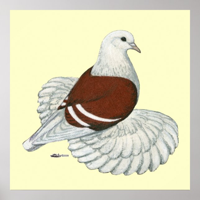Pôster Bar Branco Vermelho do Escudo Saxon Pigeon (Frente)