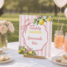 Bar de Limonada Espremida na Hora com Laço Rosa pa