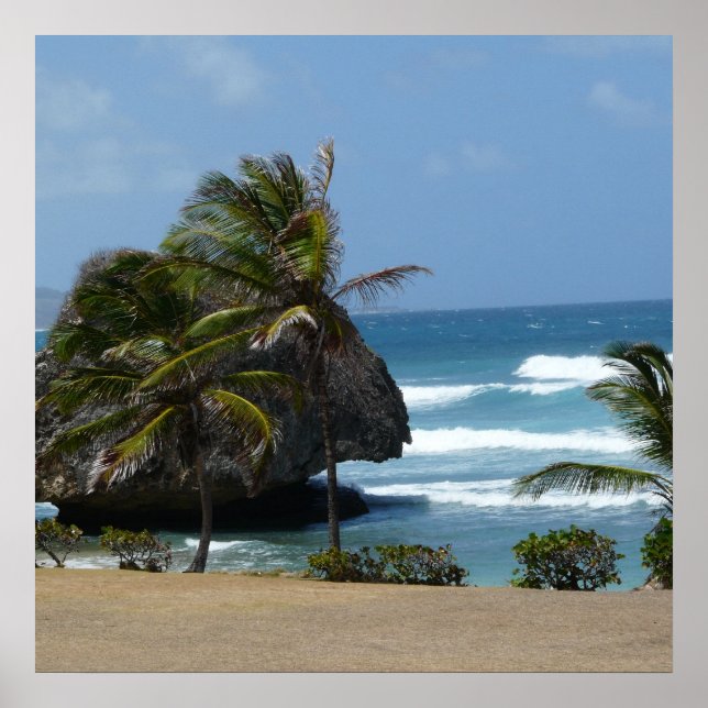 Pôster Barbados Beauty (Frente)