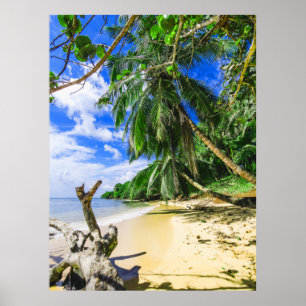 Poster Barbados Caribe Ilha Beach Palm Tree Retreat