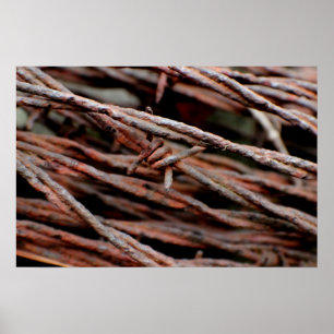 Pôster Barbed Wire