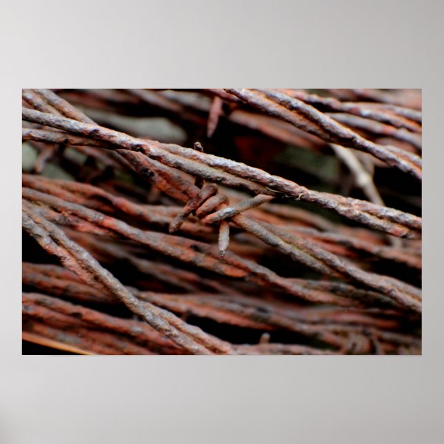 Pôster Barbed Wire (Frente)