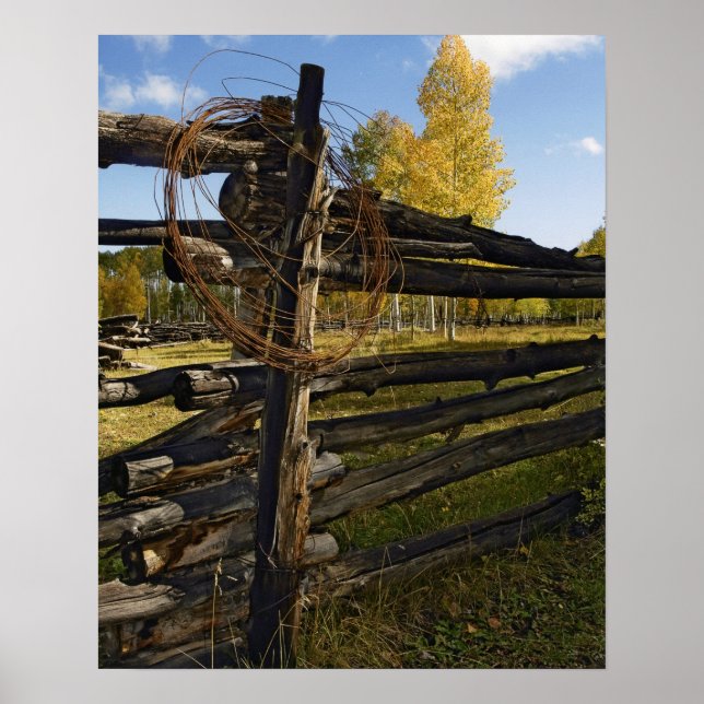 Pôster Barbed Wire (Frente)