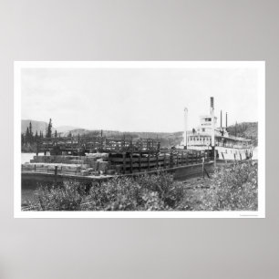 Poster Barca o Rio Yukon 1914 do gado