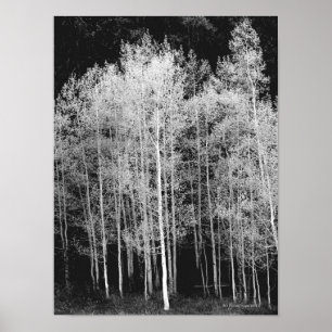 Poster Barco a vapor, Routt County, Colorado