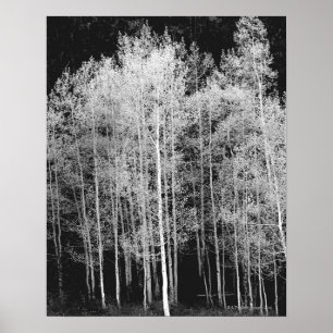 Poster Barco a vapor, Routt County, Colorado