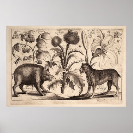 Poster Barco e Mastiff