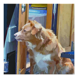 PÔSTER BARCOS CANAIS