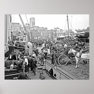 Pôster Barcos de banana de Baltimore