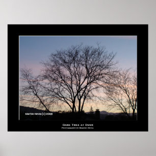 Pôster "Bare Tree at Dusk"
