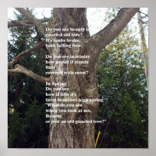 Pôster Bare Tree Poem for Arbor Day