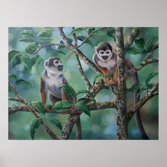 Pôster "Bares de macacos" (Frente)