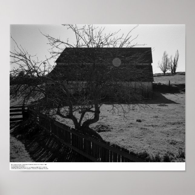 Pôster Barn, contra Sun (flare spot), março de 1962 (Frente)