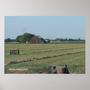 Poster Barn e Haystack