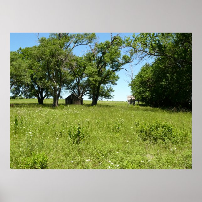 Pôster Barn e Outhouse (Frente)