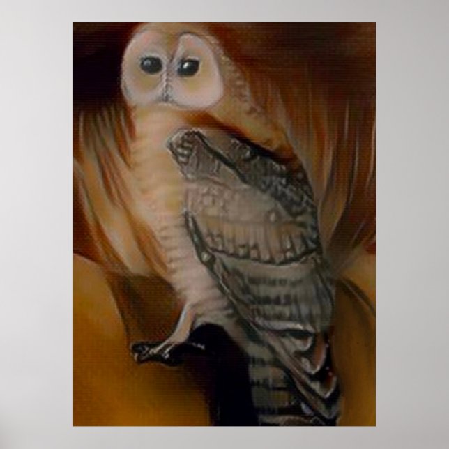Poster Barn Owl 🦉 (Frente)