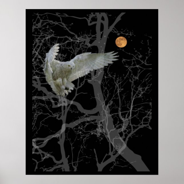 Poster Barn Owl Poster, Texas Screech Owl, Símbolo de Wic (Frente)