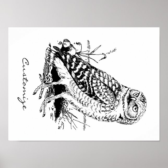 Poster Barn Owl Thunder_Cove (Frente)