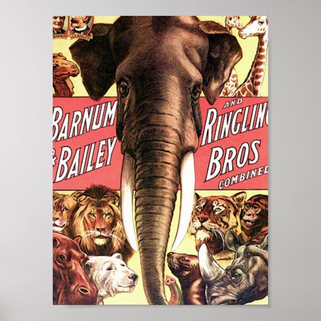 Poster Barnum & Bailey e Ringling Bros Combinados - Eleph (Frente)