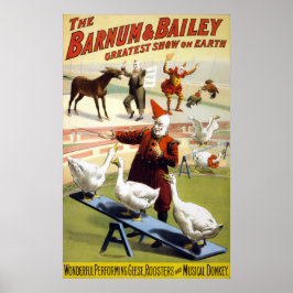 Poster Barnum & Bailey - Maravilhoso Geese