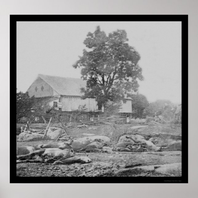 Poster Barnyard e Cavalos em Gettysburg 1863 (Frente)