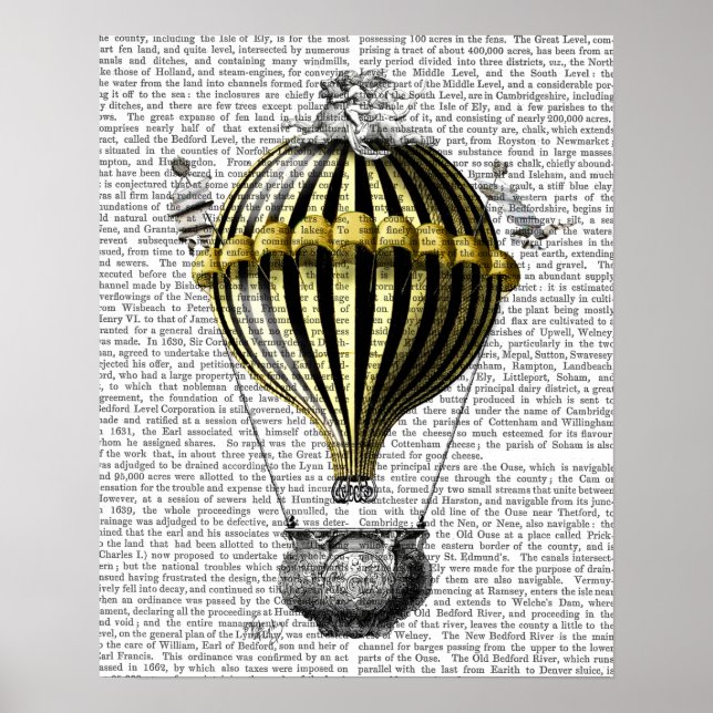 Poster Baroque Fantasy Balloon (Frente)