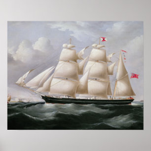 Poster Barque "Procymatia" da tosquiadeira fora de Dôvar