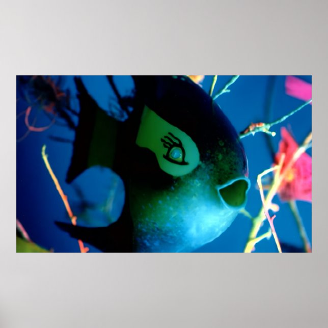 Poster Barrafa Peixe jGibney The Museum Zazzle Banner (Frente)