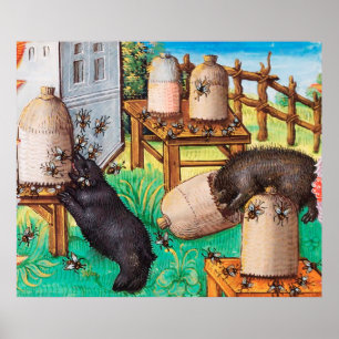 POSTER BARRAS DE MEL, ABELHAS, ABELHAS, ABELHA OFERECE O