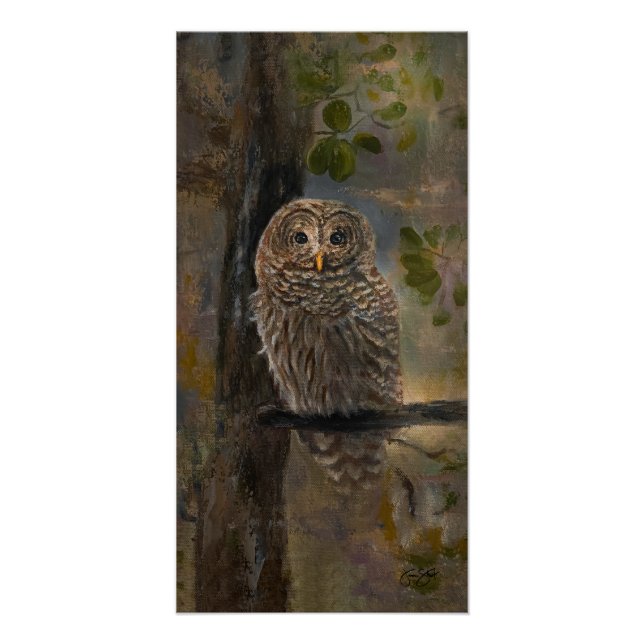 Pôster Barred Owl Painting 14 x 28 (Frente)