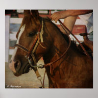 Barrel Race Horse
